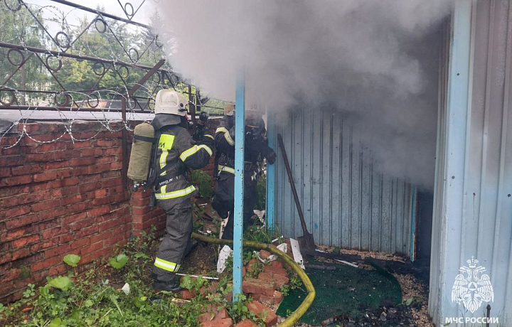 Спасатели потушили пять пожаров в Тульской области за 24 часа