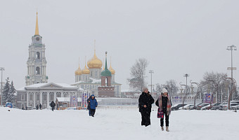 Высота сугробов в Туле достигла 74 сантиметров