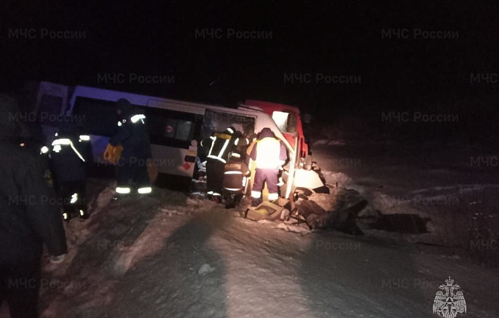 Два человека погибли после столкновения грузовика и пассажирского микроавтобуса в Тульской области