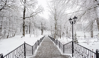 В Тульской области действует оранжевый уровень погодной опасности из-за мороза