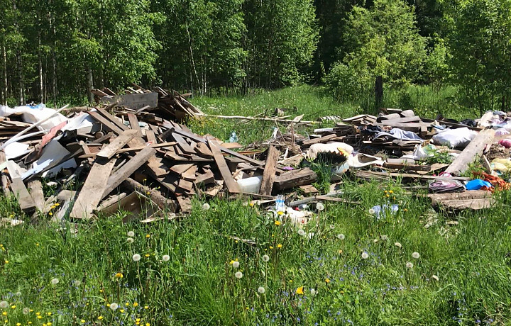 Свалку строительных отходов обнаружили в Ленинском районе Тульской области