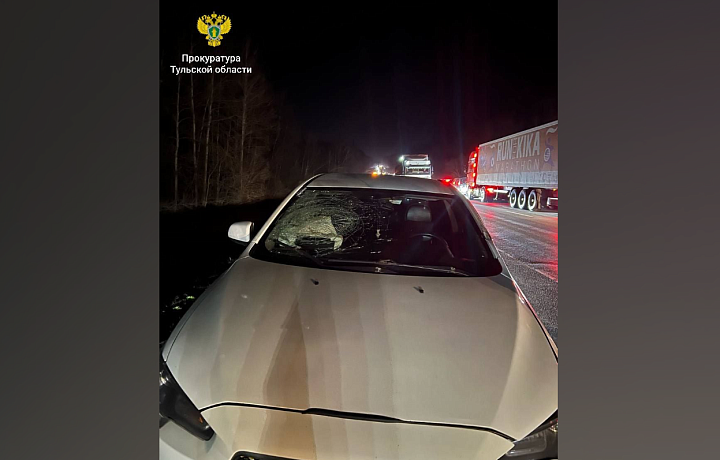 Армянин, устроивший смертельное ДТП в Тульской области, отправится в колонию-поселение