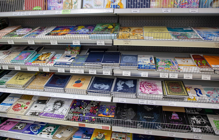 Шариковые ручки подорожали сильнее всего: как изменились цены на школьную одежду и канцтовары в Тульской области за два года