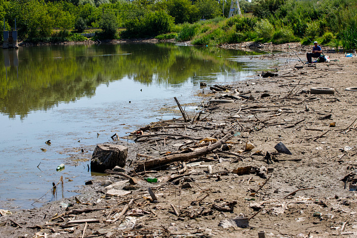 Лужа с мусором и дохлой рыбой: Рогожинский пруд в Туле находится в ужасном состоянии