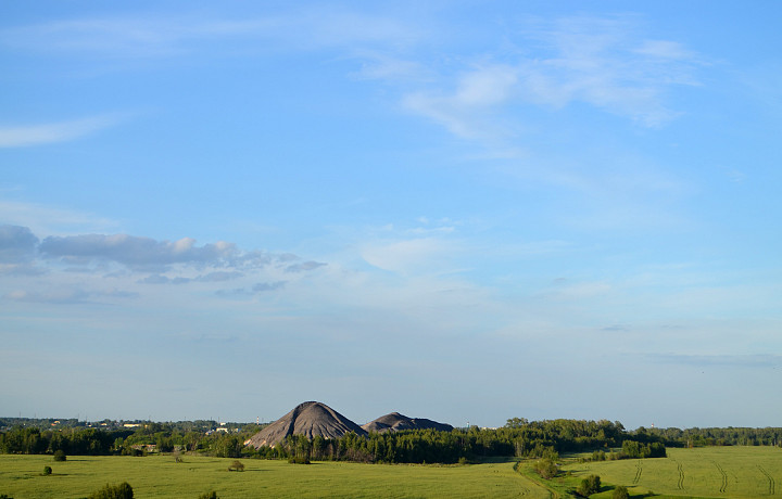 Географы МГУ обследовали отвалы угольных шахт в Тульской области на загрязнение