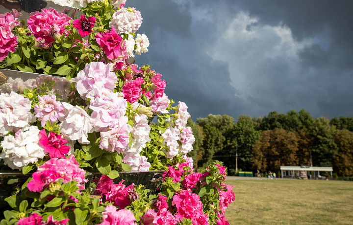 Незапланированная осень: туляков ждет прохладная погода и небольшие дожди с 10 по 14 июля