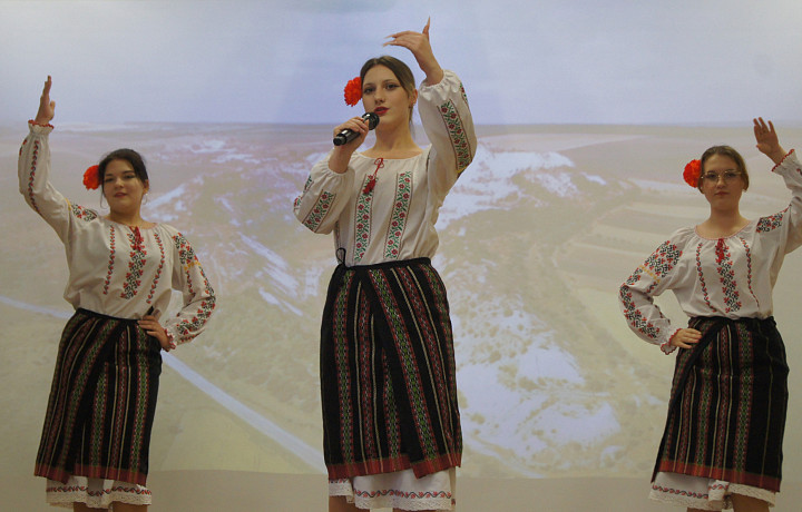 Фестиваль национальных культур прошел в Туле 12 ноября