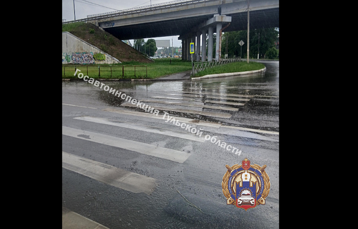 В Новомосковске водитель Volkswagen сбил пенсионерку на пешеходном переходе