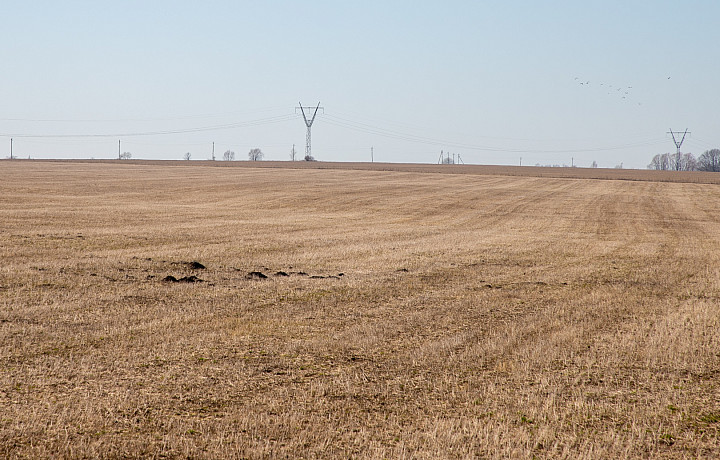 В Ефремове земля сельхозназначения станет особо охраняемой территорией