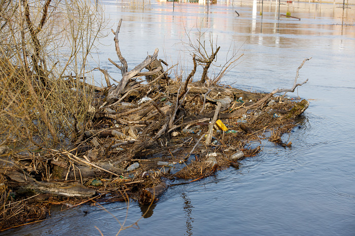 Заплыв у детского городка, затопленное кафе и завораживающая водная гладь: фоторепортаж с набережной в центре Тулы