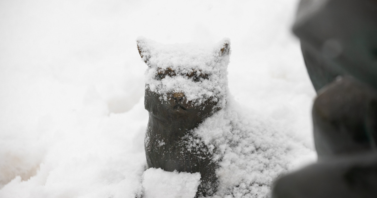 Тсн 160 б транспортер схема. 3-6. База тсн 2001 с. Тсн 160 транспортер чертеж. Трехлучевые фундаменты контактной сети.