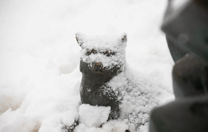 Температура в январе в Тульской области была на 3-4 градуса холоднее климатической нормы