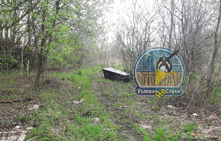 Жители Узловой обнаружили в кустах пустые гробы