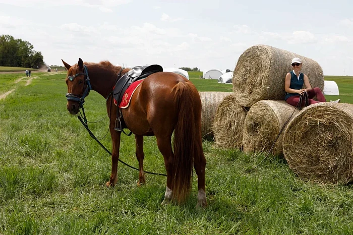 Аргентинцы, сладости и многокилометровая выставка: как проходит «День поля» в Тульской области
