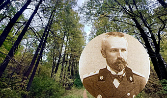 Тульский лес, который вы не знали: как дендролог Керн засадил 100 гектаров и почему они превращаются в свалку
