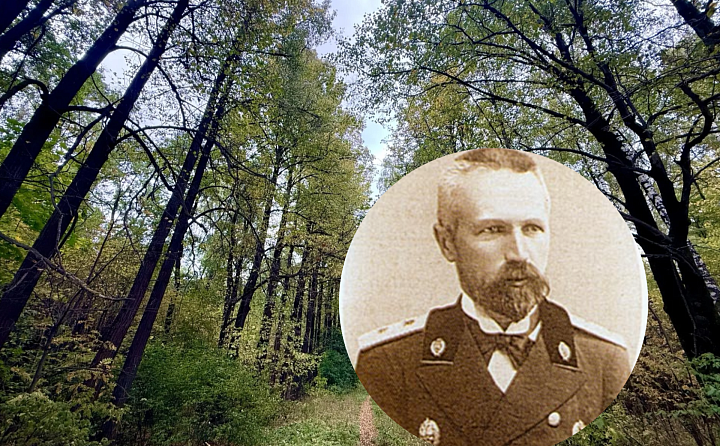Тульский лес, который вы не знали: как дендролог Керн засадил 100 гектаров и почему они превращаются в свалку