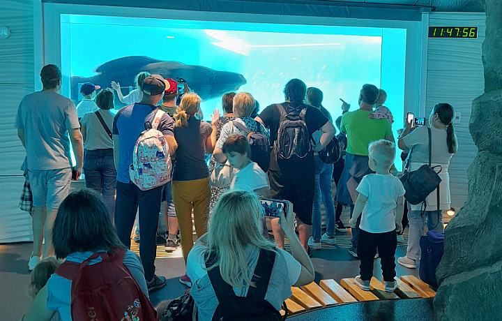 В Туле многодетным семьям организовали поездку в Московский зоопарк