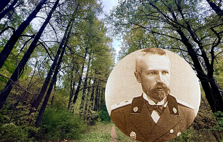 Тульский лес, который вы не знали: как дендролог Керн засадил 100 гектаров и почему они превращаются в свалку