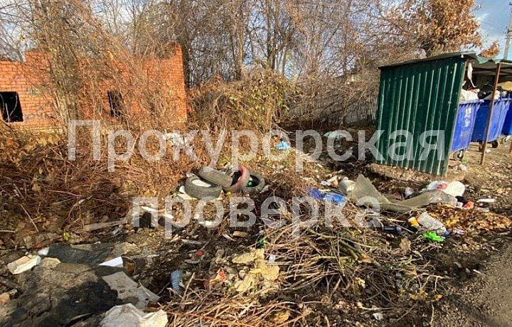 В Щекине завели административное дело из-за мусорных куч в городе