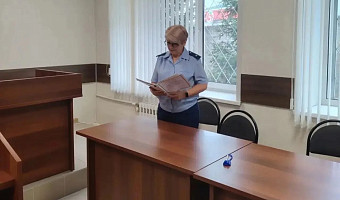 Житель Богородицка осужден на четыре года за попытку задушить полицейского