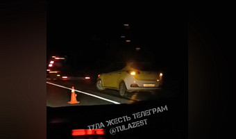 Таксист сбил лося на трассе под Тулой ночью 15 мая