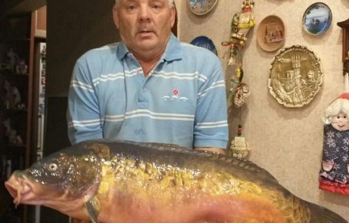 Тульский рыбак выловил из пруда 12-килограммового карпа