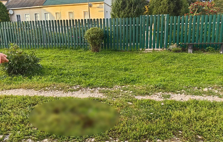 Прокуратура контролирует проверку ДТП с подростками на квадроцикле в Веневском районе