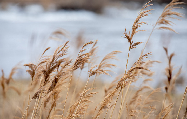Девятибалльный шторм отменяется: синоптик Ильин рассказал, какая погода на самом деле ожидает Тульскую область 19 апреля