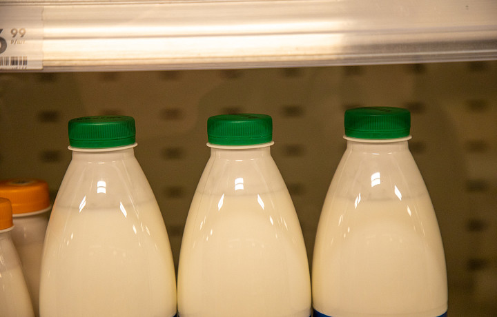 В Тульской области за три месяца произвели 50,4 тысяч тонн молока