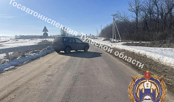 Два пешехода попали под машину в Тепло-Огарёвском районе