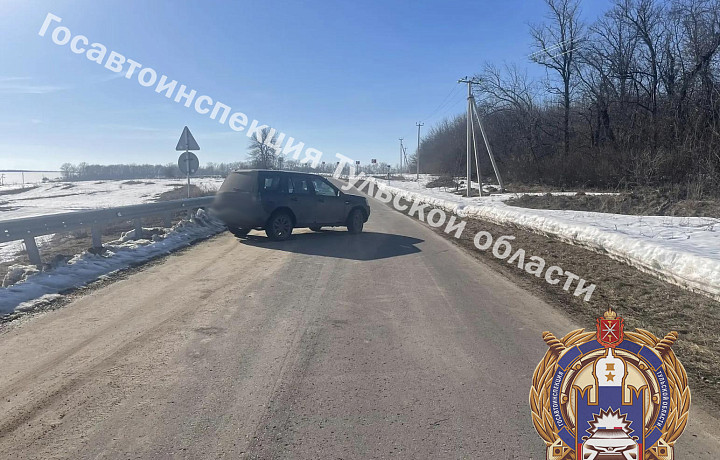 Два пешехода попали под машину в Тепло-Огарёвском районе