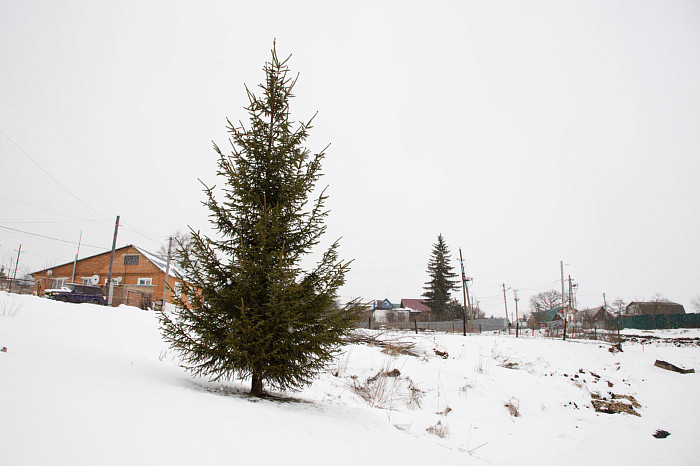 В Туле приступили к ремонту улицы Скуратовской – фоторепортаж с места проведения работ