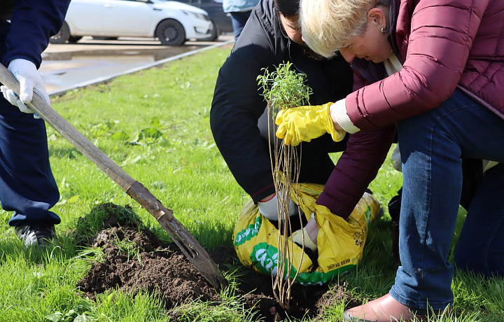 В Тульской области 18 мая пройдет второй общеобластной субботник