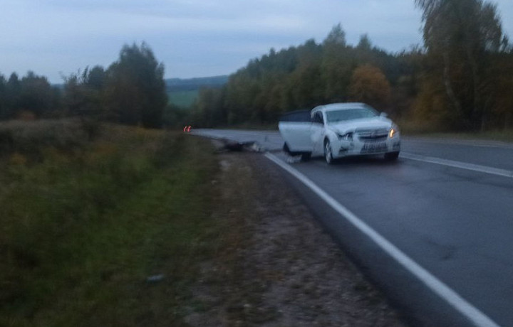 Под Алексином автомобиль Chevrolet сбил лося