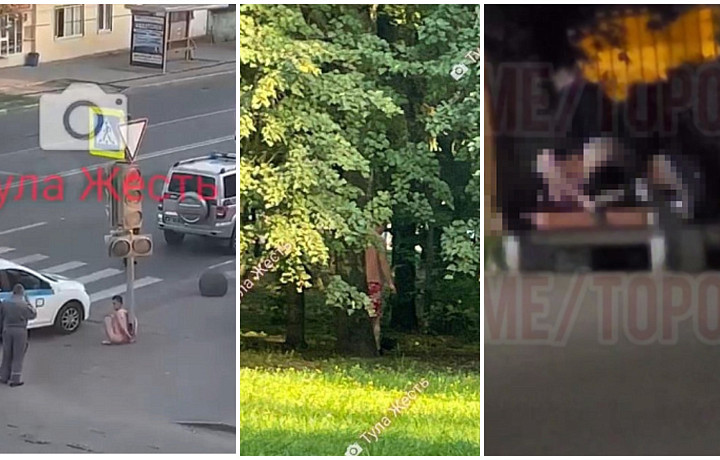 Пять диких историй, случившихся в Тульской области в 2022 году