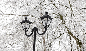 Туляков 2 февраля ожидает облачная погода и до -25 градусов мороза