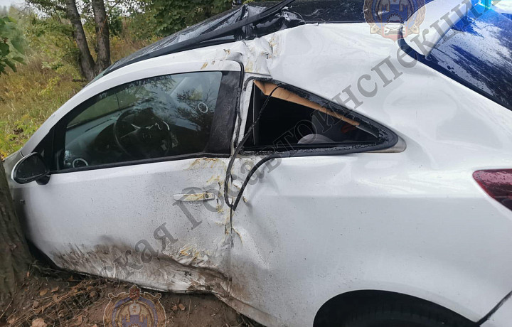В Алексине водитель Opel Corsa съехала в кювет и врезалась в дерево