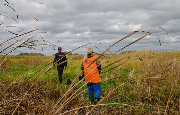 В Тульской области нашли пропавшую женщину и ребенка