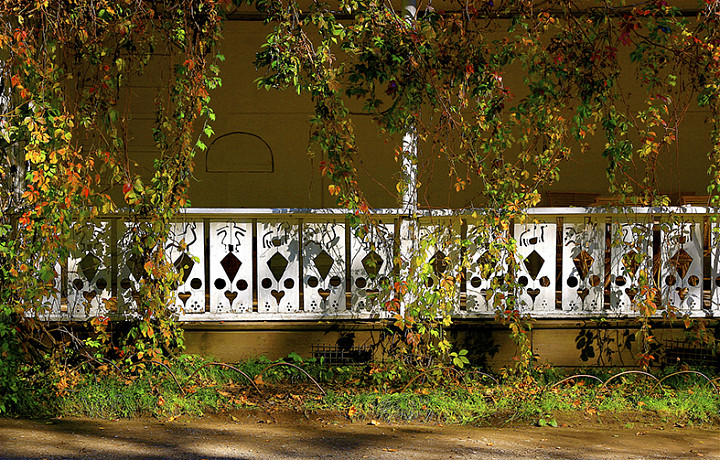 Туляков пригласили на праздник в Ясной Поляне в честь дня рождения Льва Толстого