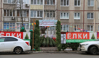 В Туле 20 декабря откроются 34 точки по продаже новогодних ёлок