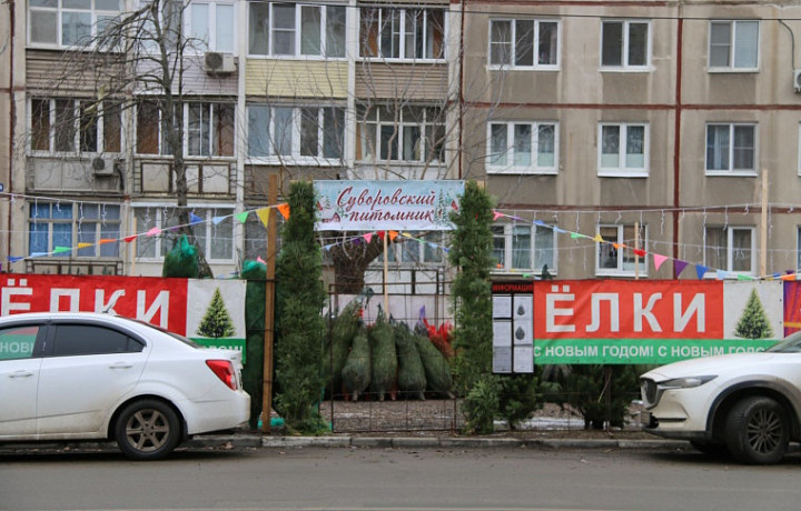 В Туле 20 декабря откроются 34 точки по продаже новогодних ёлок