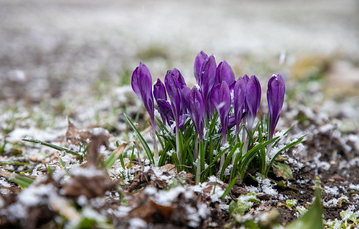 Синоптики назвали причину экстремального потепления в центре России