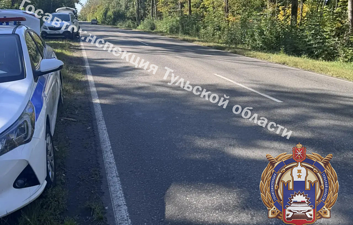 В Тульской области автоледи на Opel сбила пенсионера-велосипедиста