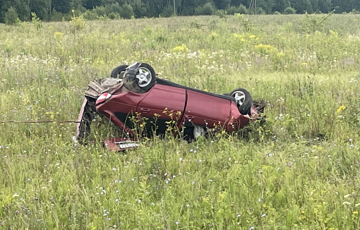 В Алексинском районе перевернулась Lada Priora: водитель попал в больницу