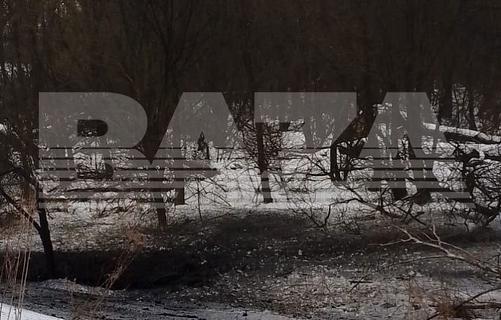 Власти сообщили об отсутствии пострадавших при взрыве в Киреевском районе Тульской области