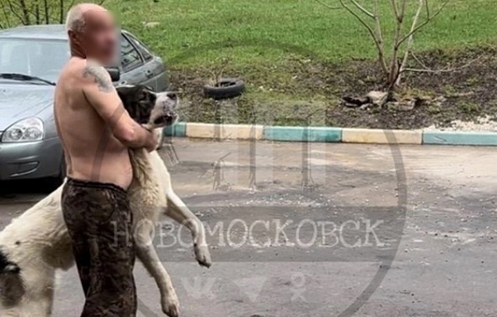 На улице Донской в Новомосковске алабай нападает на прохожих