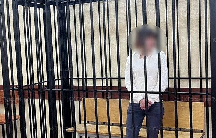 В Узловой взяли под стражу женщину, обвиняемую в убийстве двухлетней дочери