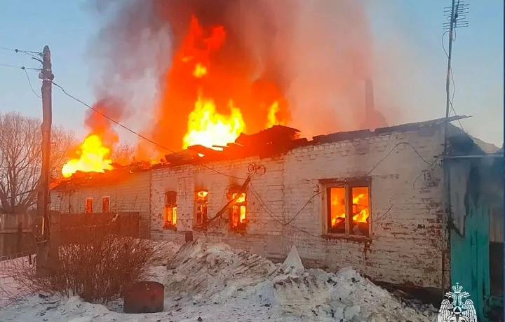 В деревне Даниловка Тульской области 13 марта спасатели потушили пожар в частном доме