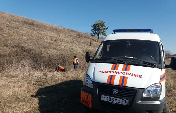 Спасатели обезвредили 11 боеприпасов времен ВОВ в Белевском районе