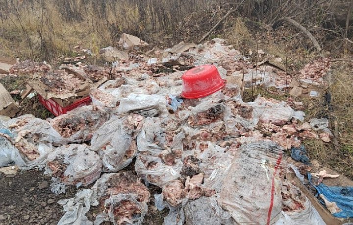 В Узловском районе обнаружили целую гору просроченных куриных тушек